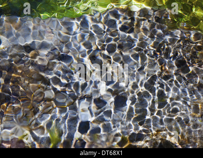 Licht und Schatten auf Wellen in einem flachen Abschnitt des Sol Duc River, Olympic National Park, USA Stockfoto