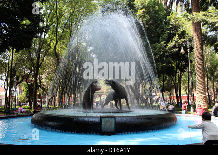 Kojoten Brunnen in Coyoacán, Mexiko-Stadt Stockfoto