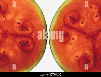 Organischen Wassermelone Scheiben Stockfoto