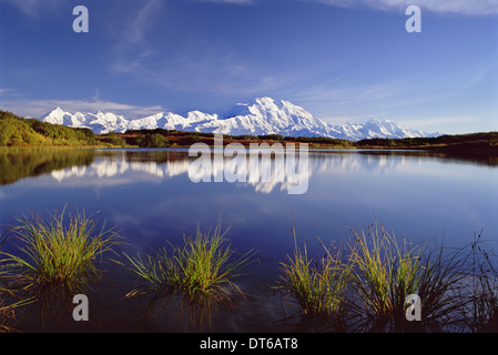 Mount McKinley im Denali-Nationalpark, Alaska reflektiert in Reflexion Teich. Stockfoto