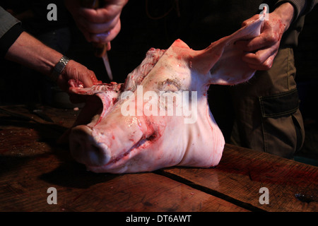 Traditionelle Art und Weise dem Schwein im kleinen Dorf in Lozère Südfrankreich Stockfoto