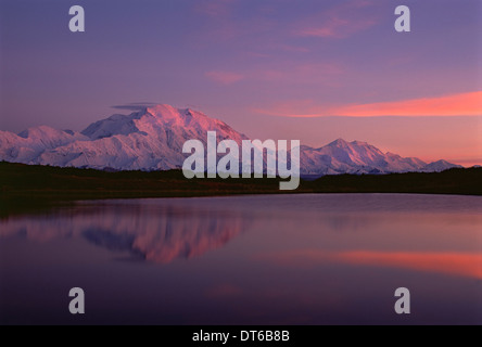 Sonnenuntergang, Mount McKinley im Denali Nationalpark, Alaska in Reflexion Teich reflektiert. Stockfoto