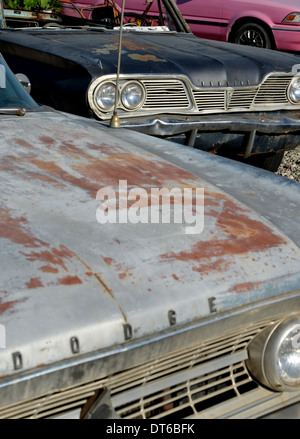 Oldsmobile und Pontiac Oldtimer parkten im Wigwam Motel, San Bernardino Stockfoto