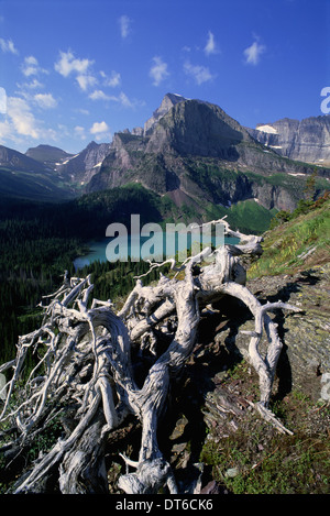 Die Landschaft des Glacier National Park Grinnel Lake Grinnell Gletscher. Berge und Schnee. Toter Baum-Stamm und Äste. Stockfoto