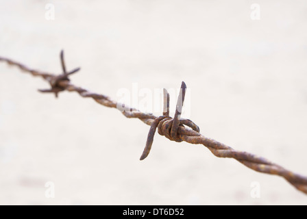 Detail der rostigen Stacheldraht hautnah Stockfoto