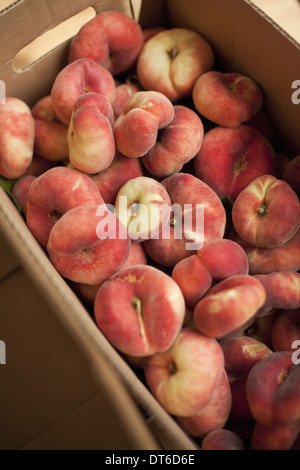 Frisches Obst auf einem Bio-Bauernhof Stand. Donut-Pfirsiche in einer Box. Stockfoto