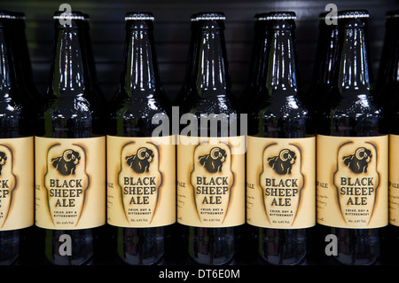 Eine Reihe von schwarzen Schafen Bierflaschen auf einem britischen Supermarktregal. Stockfoto