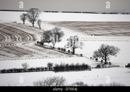 Schnee bedeckte Kulturlandschaft des East Yorkshire Wolds in der Nähe von Wharram Percy Stockfoto