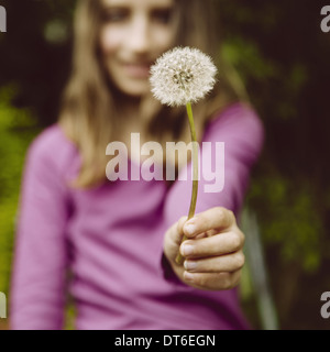 Ein zehn Jahre altes Mädchen hält ein Löwenzahn Uhr Seedhead an einem langen Stiel. Stockfoto