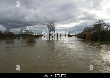 Wallingford, UK. 10. Februar 2014. Themse Hochwasser bei Wallingford Brücke, Oxon. Hochwasser von der Themse, verursacht durch starke Regenfälle von wiederholten Winterstürme bedroht Tausende von Häusern entlang des Ufers. Bildnachweis: David Hammant/Alamy Live-Nachrichten Stockfoto