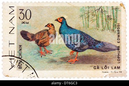 Briefmarke gedruckt in Vietnam zeigt Lophura Edwardsi oder Edwards Fasan, Serie widmet sich der Ziervögel Stockfoto