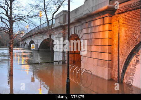 Staines, Surrey, UK. 10. Februar 2014. Die Themse ist geschwollen und läuft sehr hoch und schnell in Staines, und beginnen zu überfluten. Bildnachweis: Matthew Chattle/Alamy Live-Nachrichten Stockfoto