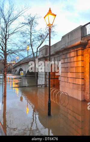 Staines, Surrey, UK. 10. Februar 2014. Die Themse ist geschwollen und läuft sehr hoch und schnell in Staines, und beginnen zu überfluten. Bildnachweis: Matthew Chattle/Alamy Live-Nachrichten Stockfoto