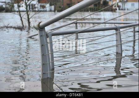 Staines, Surrey, UK. 10. Februar 2014. Die Themse ist geschwollen und läuft sehr hoch und schnell in Staines, und beginnen zu überfluten. Bildnachweis: Matthew Chattle/Alamy Live-Nachrichten Stockfoto