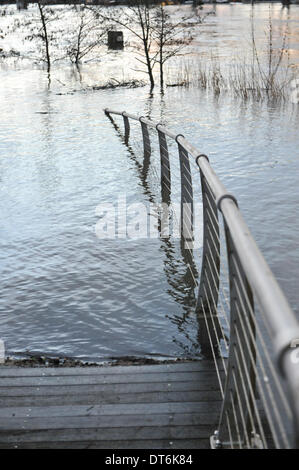 Staines, Surrey, UK. 10. Februar 2014. Die Themse ist geschwollen und läuft sehr hoch und schnell in Staines, und beginnen zu überfluten. Bildnachweis: Matthew Chattle/Alamy Live-Nachrichten Stockfoto