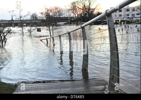 Staines, Surrey, UK. 10. Februar 2014. Die Themse ist geschwollen und läuft sehr hoch und schnell in Staines, und beginnen zu überfluten. Bildnachweis: Matthew Chattle/Alamy Live-Nachrichten Stockfoto