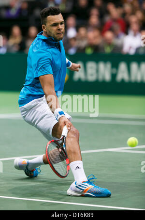 Jo-Wilfried Tsonga(FRA) in seinem Match gegen Florian Mayer(GER) bei ABN AMRO World Tennis Tournament in Aktion.  Foto: Tennisimages / Henk Koster Stockfoto