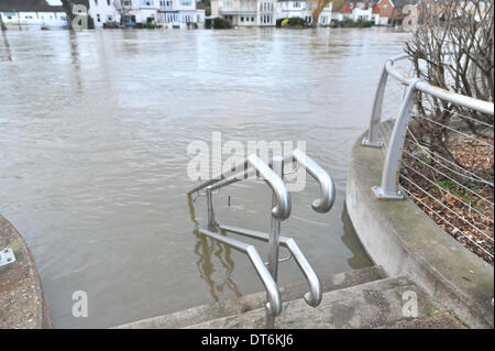 Staines, Surrey, UK. 10. Februar 2014. Die Themse ist geschwollen und läuft sehr hoch und schnell in Staines, und beginnen zu überfluten. Bildnachweis: Matthew Chattle/Alamy Live-Nachrichten Stockfoto