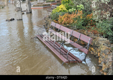 Staines, Surrey, UK. 10. Februar 2014. Die Themse ist geschwollen und läuft sehr hoch und schnell in Staines, Wege und Bänke befinden sich unter Wasser entlang des Flusses. Bildnachweis: Matthew Chattle/Alamy Live-Nachrichten Stockfoto