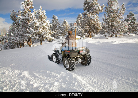 Eine Seniorin Pflüge Schnee mit einem ATV, all-Terrain-Fahrzeug, nach einem großen Schneesturm in Zentral-Oregon. Stockfoto