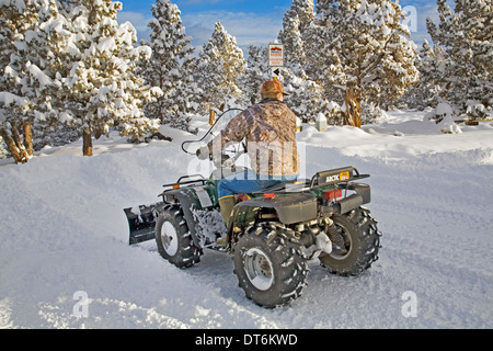 Eine Seniorin Pflüge Schnee mit einem ATV, all-Terrain-Fahrzeug, nach einem großen Schneesturm in Zentral-Oregon. Stockfoto