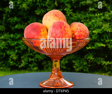 Frisch süß und saftig Pfirsiche in ein antikes Glas Schale mit Obst abgeholt Stockfoto