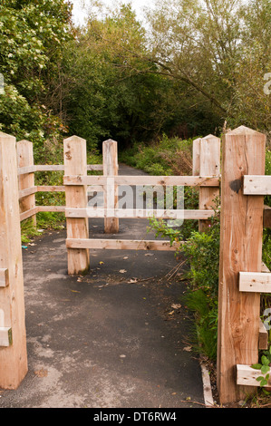 Wanderweg und Gateway durch Bäume und Laub in einem Park / Landschaft Stockfoto