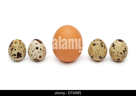 Wachteln und Hühnereiern isoliert auf weißem Hintergrund. Stockfoto