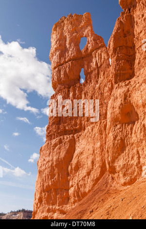 Wall Street in Bryce Amphitheater, Bryce-Canyon-Nationalpark, Utah. Stockfoto