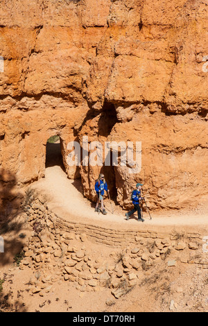 Wanderer gehen durch einen Tunnel auf dem Queens Garden Trail im Bryce-Canyon-Nationalpark, Utah. Stockfoto