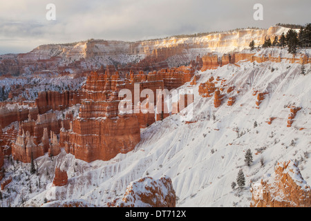 Bryce Amphitheater nach einem Morgen Schneesturm, Bryce-Canyon-Nationalpark, Utah. Stockfoto