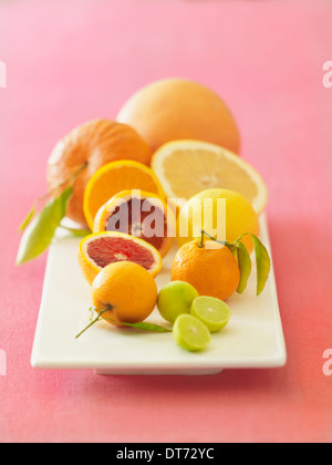 Eine weiße Platte mit Orangen, Blutorangen, Grapefruit, Zitronen und Limetten auf rosa Stoff Hintergrund. Stockfoto