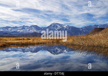 Reflexion der Sierra Mountains in einer Schleife des Flusses Owens Stockfoto