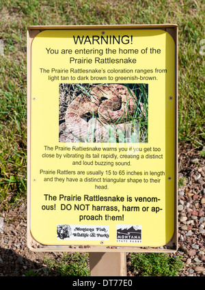 Montana, Ulm, erste Völker Buffalo Jump Staatspark, Prärie-Klapperschlange (Crotalus Viridis) Warnzeichen Stockfoto