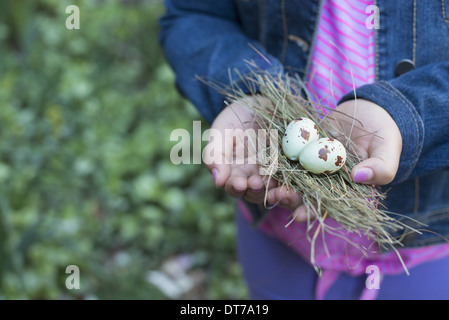 Ein Mädchen in der Hand aus der hohlen Hand, mit einem kleinen Bündel von Zweigen und zwei Vogeleier. Stockfoto