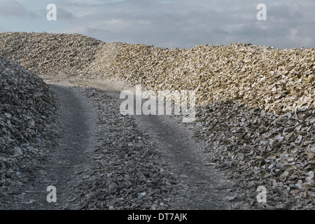 Straße führt durch Pfähle ausrangierte Auster Muscheln Oysterville USA Oysterville Pacific County Washington USA USA Stockfoto