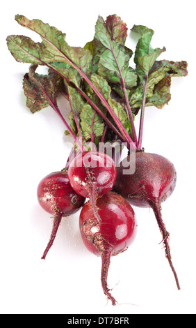 Rüben Wurzeln isoliert auf weißem Hintergrund. Stockfoto