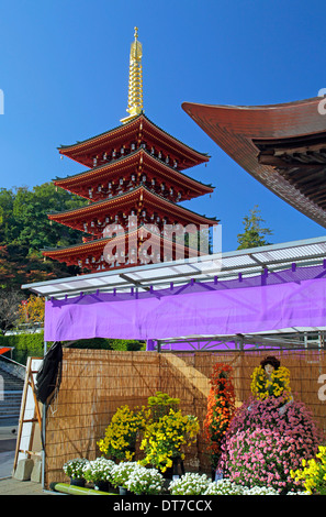 Chrysantheme KIKU Ningyo Puppe und fünf Pagode bei Takahata Fudo Tempel Tokio Japan Stockfoto