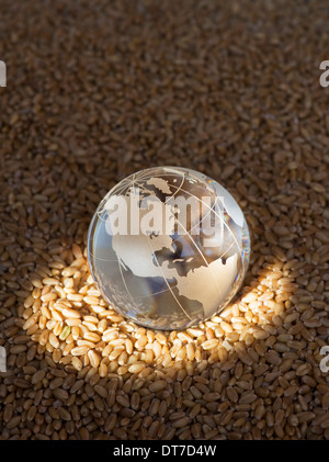 Glaskugel auf Weizenkörner, hervorgehoben durch die Sonne, eine globale Nahrungsmittelkrise zu vertreten / Mangel Stockfoto