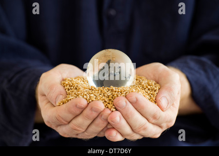 Western mans Hände halten Weizenkörner mit einer Glaskugel, eine globale Nahrungsmittelkrise zu vertreten / Mangel Stockfoto