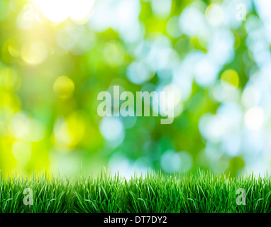 Natur Hintergrund unscharf. Im Vordergrund der grüne Rasen. Stockfoto