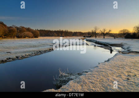 Ober Wasser, New Forest, Hampshire, UK Stockfoto