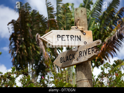 Fahrtrichtungsanzeiger auf der Straße in den Wald. Mauritius. Stockfoto