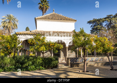 ALCAZAR VON SEVILLA SPANIEN GÄRTEN UND PAVILLONS VON CARLOS V, UMGEBEN VON ORANGENBÄUMEN VOLLER FRÜCHTE IM DEZEMBER Stockfoto