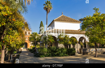 ALCAZAR VON SEVILLA SPANIEN DEN PAVILLON VON CARLOS V, UMGEBEN VON ORANGENBÄUMEN IN DEN WEITLÄUFIGEN GÄRTEN Stockfoto