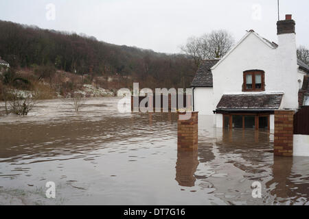 Steckfeld, Shropshire, UK. 11. Februar 2014. Den Fluss Severn ist bei einer Zehn-Jahres-hoch in Teilen von Shropshire, England. Das Dorf Steckfeld ist doppelt so schwer, wie einer der Straßen ins Dorf abgeschlossen ist, da vor Weihnachten, wegen einer eingestürzten mine, und jetzt einen anderen Weg ist kaum der Rede Wert wegen der Überschwemmungen betroffen. Wasserstände, Conitinue voraussichtlich in den nächsten Tagen steigen. Bildnachweis: Rob Carter/Alamy Live-Nachrichten Stockfoto