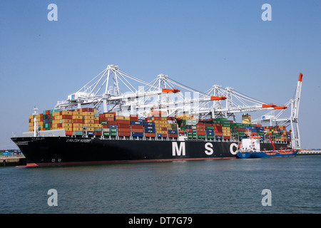Hafen von Le Havre. Container-Terminal. Stockfoto