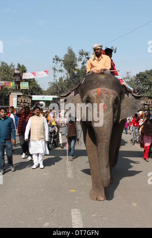 Südlichen Gandhi Maidan, Patna, Bihar, Indien, 11. Februar 2014. Tier beteiligt sich auf Kalas Yatra Prozession, eine unbekannte und weniger Volksfest der Patna hinduistische fromme Frauen schmücken sich und tragen Sie Ganges Wasser zu einem Tempel befindet sich am Devi Talab 'Pranpratistha' zu tun. Bildnachweis: Rupa Ghosh/Alamy Live-Nachrichten. Stockfoto