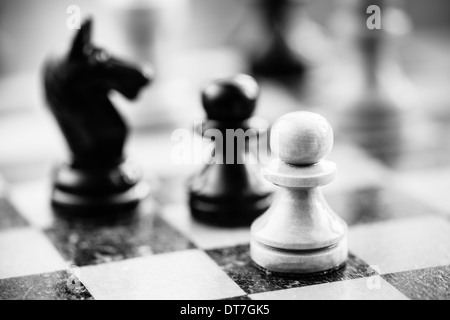 Schach-Bauern und Ritter stehen auf Schachbrett Stockfoto