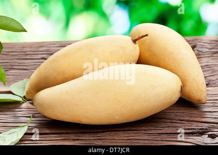 Mango-Früchte auf einem Holztisch mit dunkelgrünem Laub auf dem Hintergrund. Stockfoto